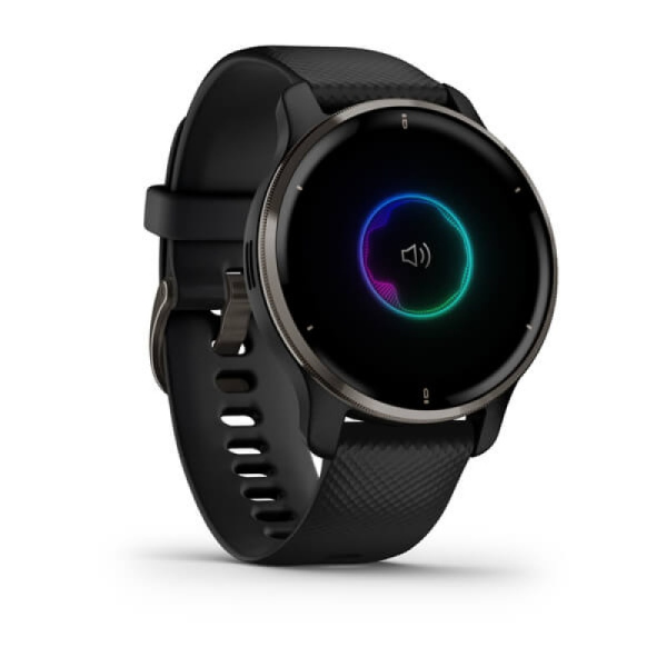 Часы Garmin Venu 2 Plus Black