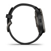 Часы Garmin Venu 2 Plus Black