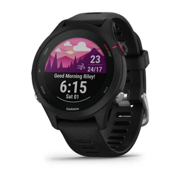 Часы Garmin ForeRunner 255s Powder Gray