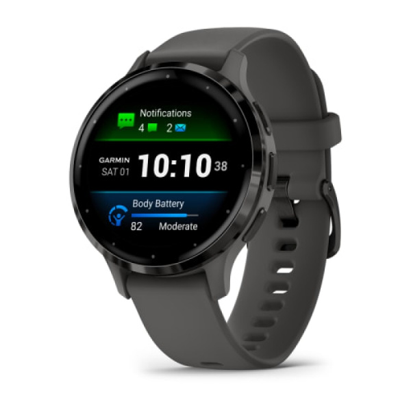 Часы Garmin VENU 3s Slate Pebble/Gray